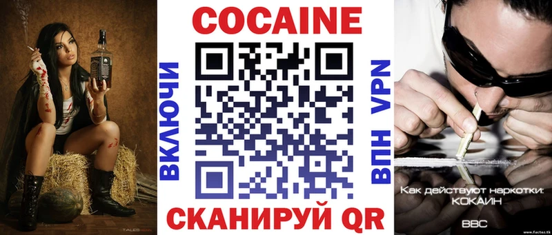OMG ссылка  сколько стоит  Ершов  Cocaine Эквадор 
