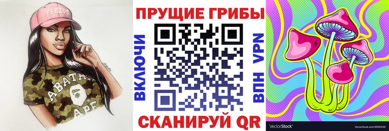 Псилоцибиновые грибы мухоморы Ершов